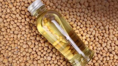 زيت الصويا