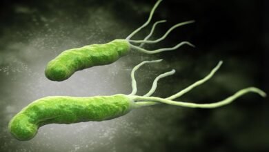 دواعي استعمال سيبروديازول 500 وفوائده للإسهال وجرثومة المعدة والأعراض الجانبية والسعر‎