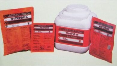 ماذا يعالج فيتوسيل Vitosel أكياس فوار والسعر وهل يزيد الوزن؟‎