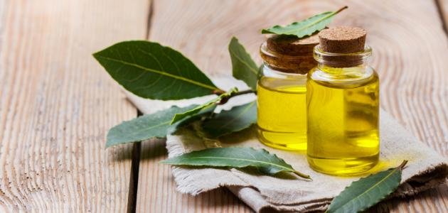 فوائد زيت ورق الغار للشعر